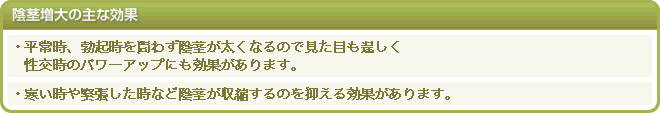 陰茎増大の主な効果